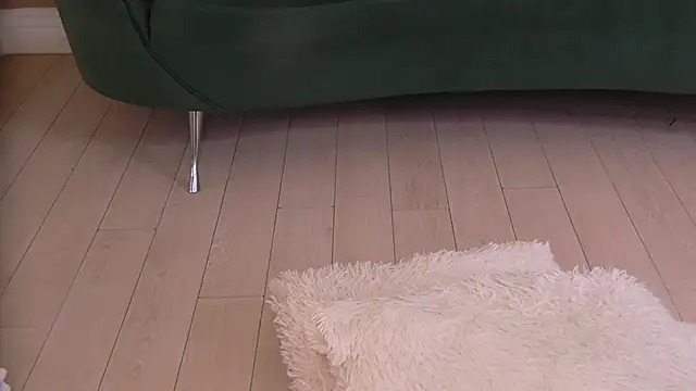 Bailey_Rush live
