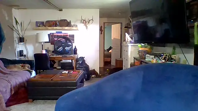 cutiekayls live