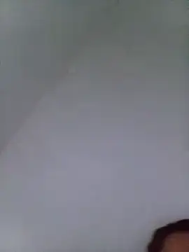 Squirtkat live