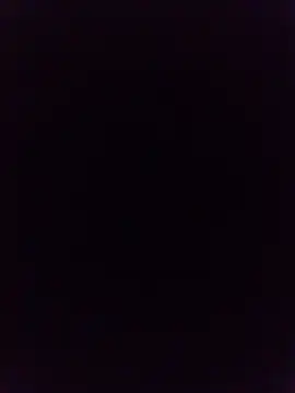 geewhizo live