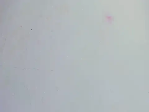 Aratnzacute live