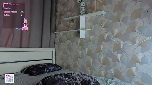 DaynaMacha live