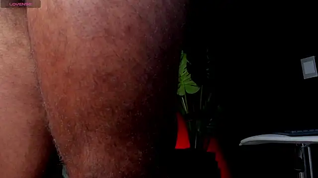 noah_crux live