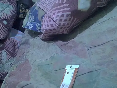 magicpussyy1 live