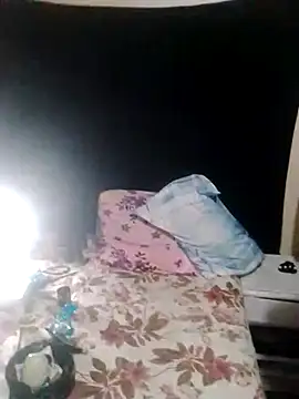 roludoogato live