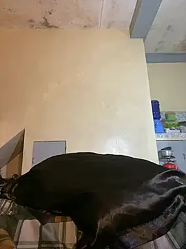sweetyula live
