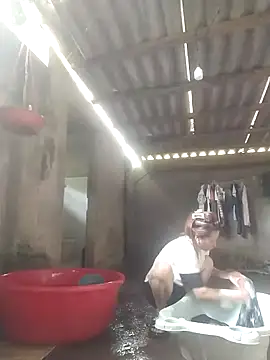 Seiciz live