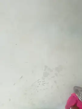 lee_chang- live