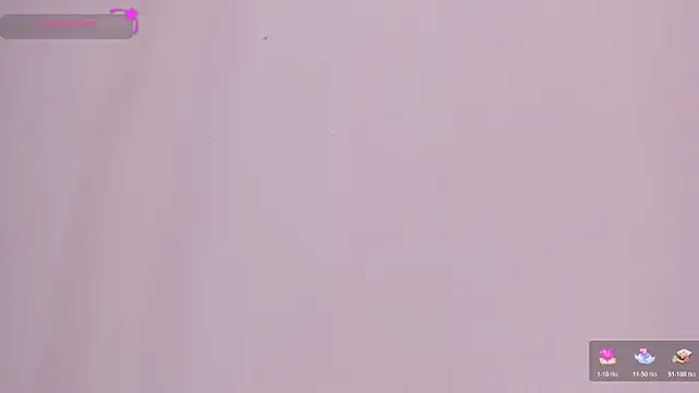 MissCurvyTop live