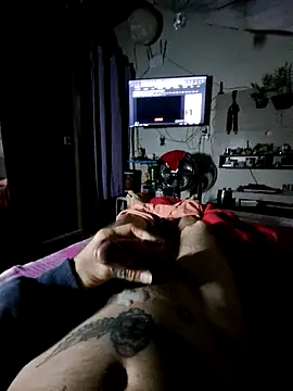 magrosafadodiscreto live