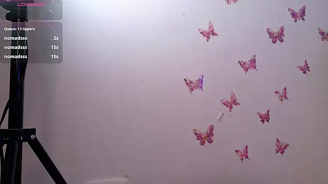 kittyrosess live