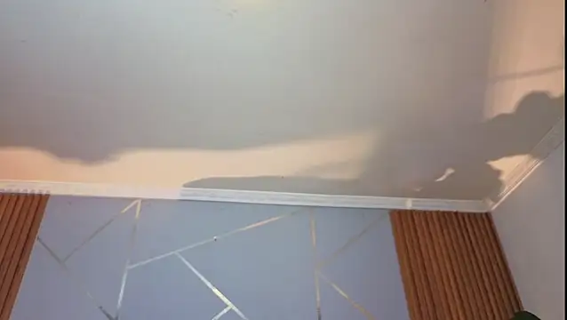Megxnn live