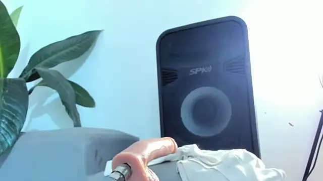 DakotaStills_ live