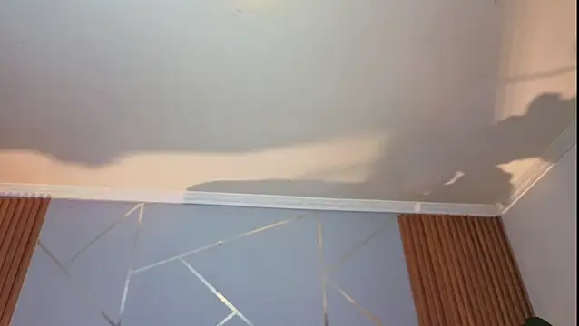 Megxnn live