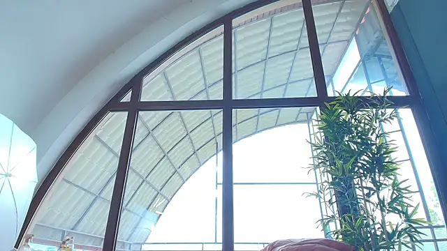 AlicePirs live