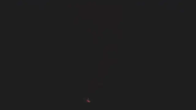 jaxx12369 live