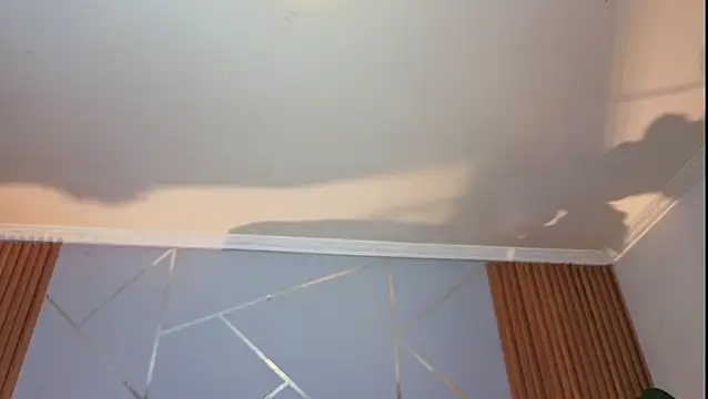 Megxnn live