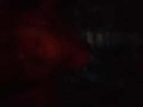 falgunimanna live