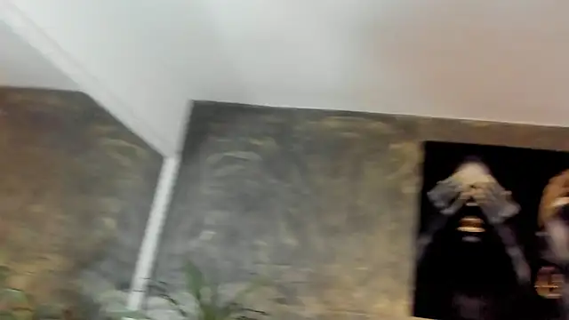 Morgan_ward live