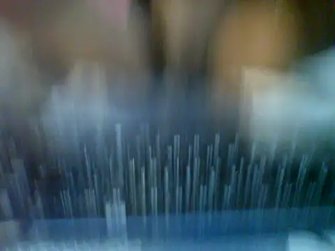 ebony500 live
