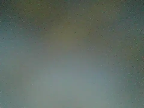 wildfoxG live
