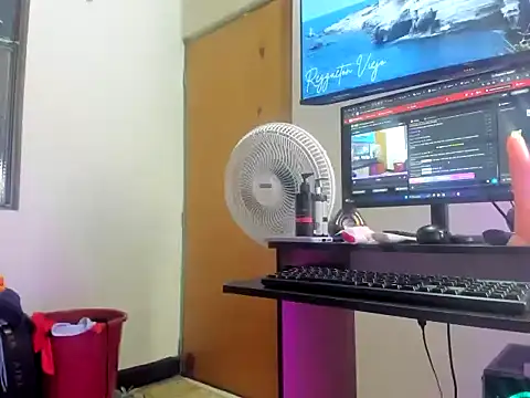 Any_velvet live