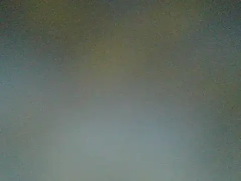 wildfoxG live