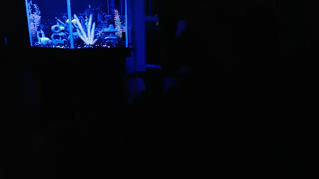 EspanolVato live