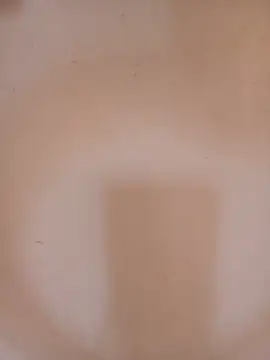 DaisyHarperr live