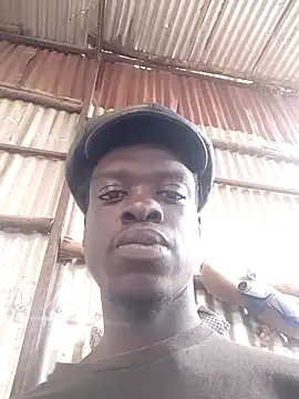 cheese254 live