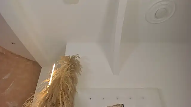 APRILL_FOXX live