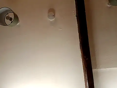 stud2512 live