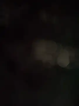Olgundolgun33 live