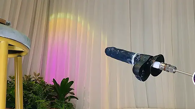 B-Yaya live