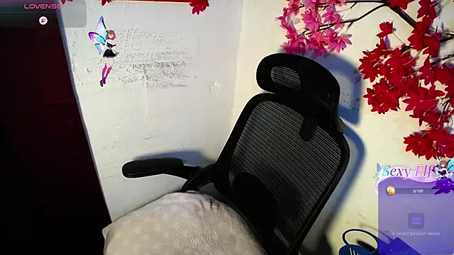 chleo_rosse live
