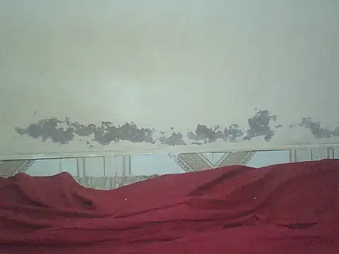 Naivegirrl live