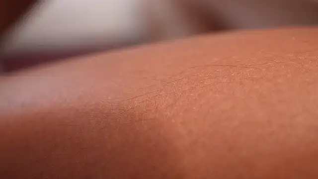 veronica_mendez1 live