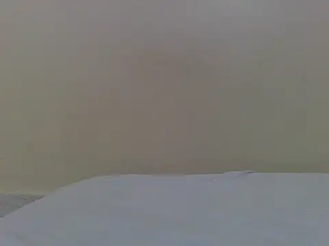 Coco_bloom live