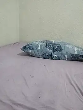 Kedicigi_Miyavlat live