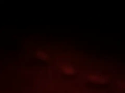 stela_88 live