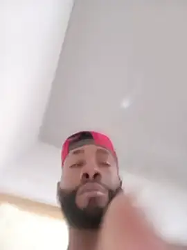 Dante_Knox live