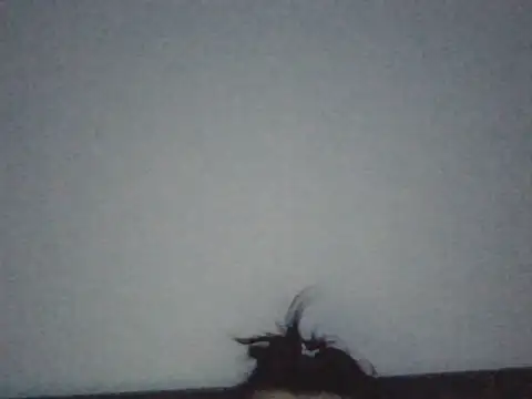 FallenDevil live