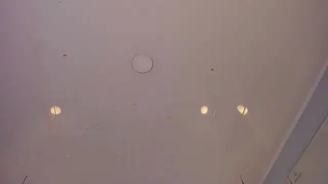 sakura_Gomez live