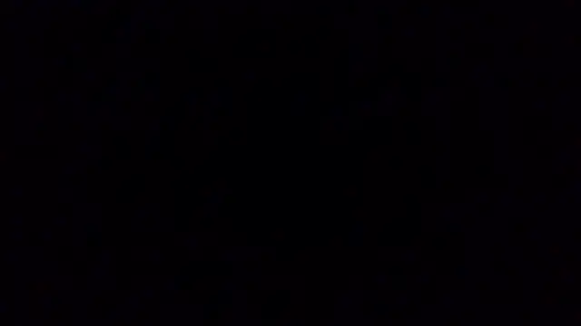 KrikaCat live