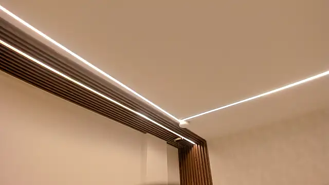 Aurora_bellamont live