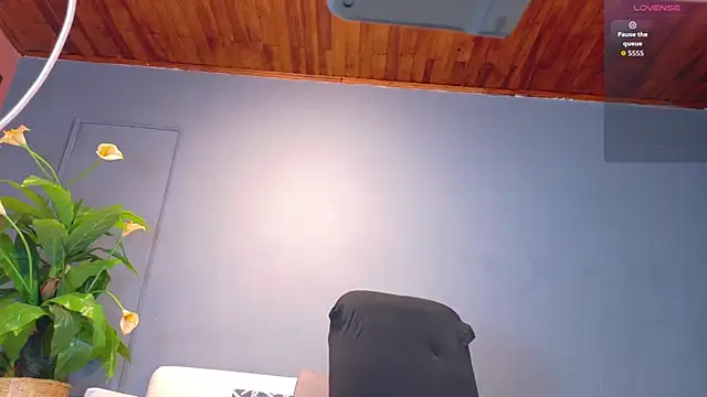 aalejo_gray live