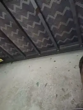 rayhot69 live