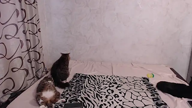 Olivia_Winston live