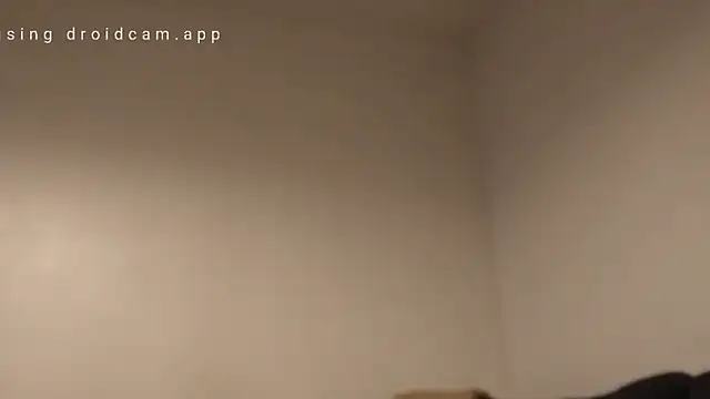 Semilobon1 live