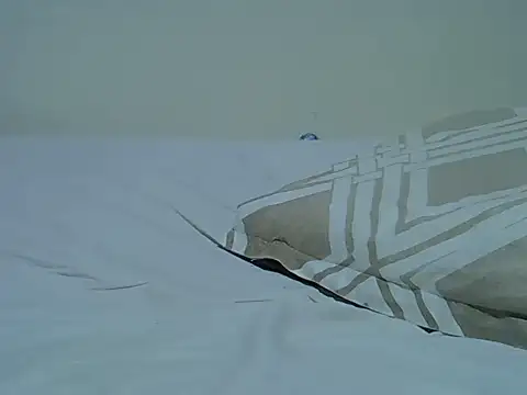 lovey_dovey18 live